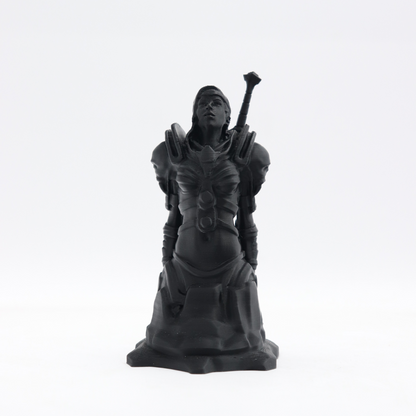 ANMARK 3D - PLA / 1.75mm / 1Kg