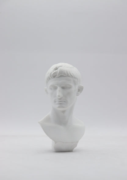 ANMARK 3D - PLA / 1.75mm / 650g
