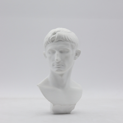 ANMARK 3D - PLA / 1.75mm / 1Kg